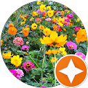 Caroline Laurence profile picture