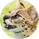 Noa Garcia L. profile picture